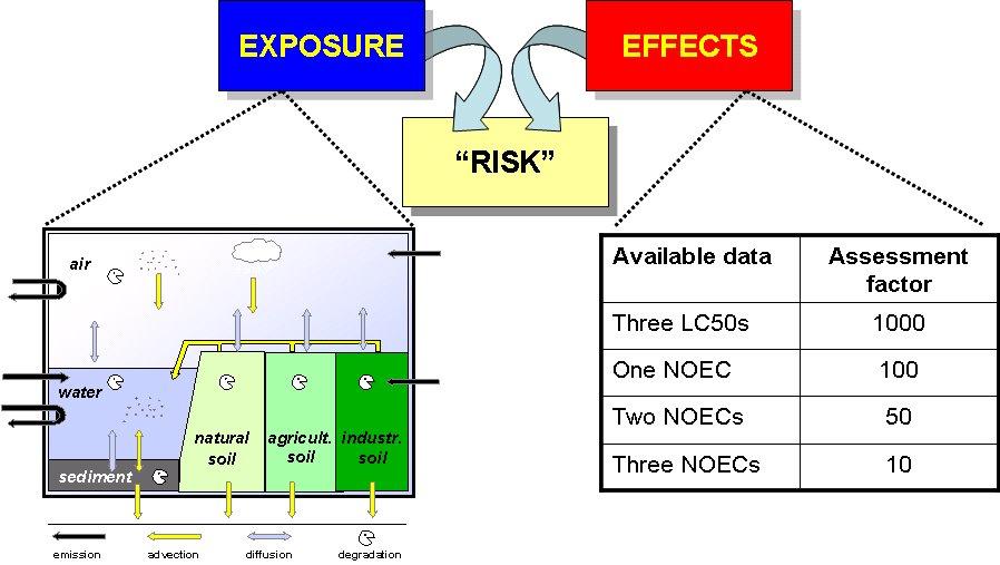 Figure 1: Illustrating the conceptual difference in the approaches for exposure assessment and effects assessment in the EU-TGD.