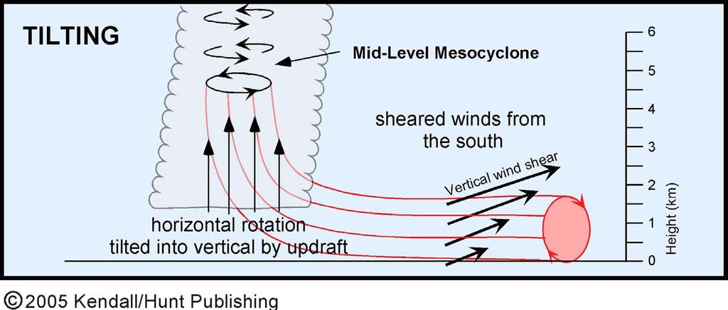 Tornado Formation in Supercells What causes a supercell thunderstorm to rotate? mesocyclone: cyclonic circulation within the updraft region of a supercell.