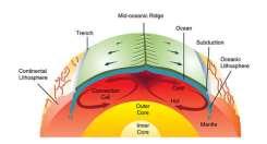 Mantle convection drives plate tectonics. Hot material rises at mid-ocean ridges and sinks at deep sea trenches, which keeps the plates moving along the Earth s surface.