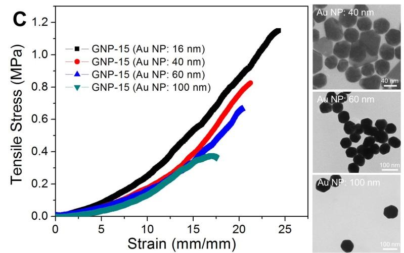A B C Figure S8. The effect of BACA and monomer concentrations and size of gold NP used on mechanical property of GNP hydrogels, related to Figure 3.
