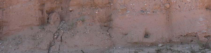 silt beds Channel