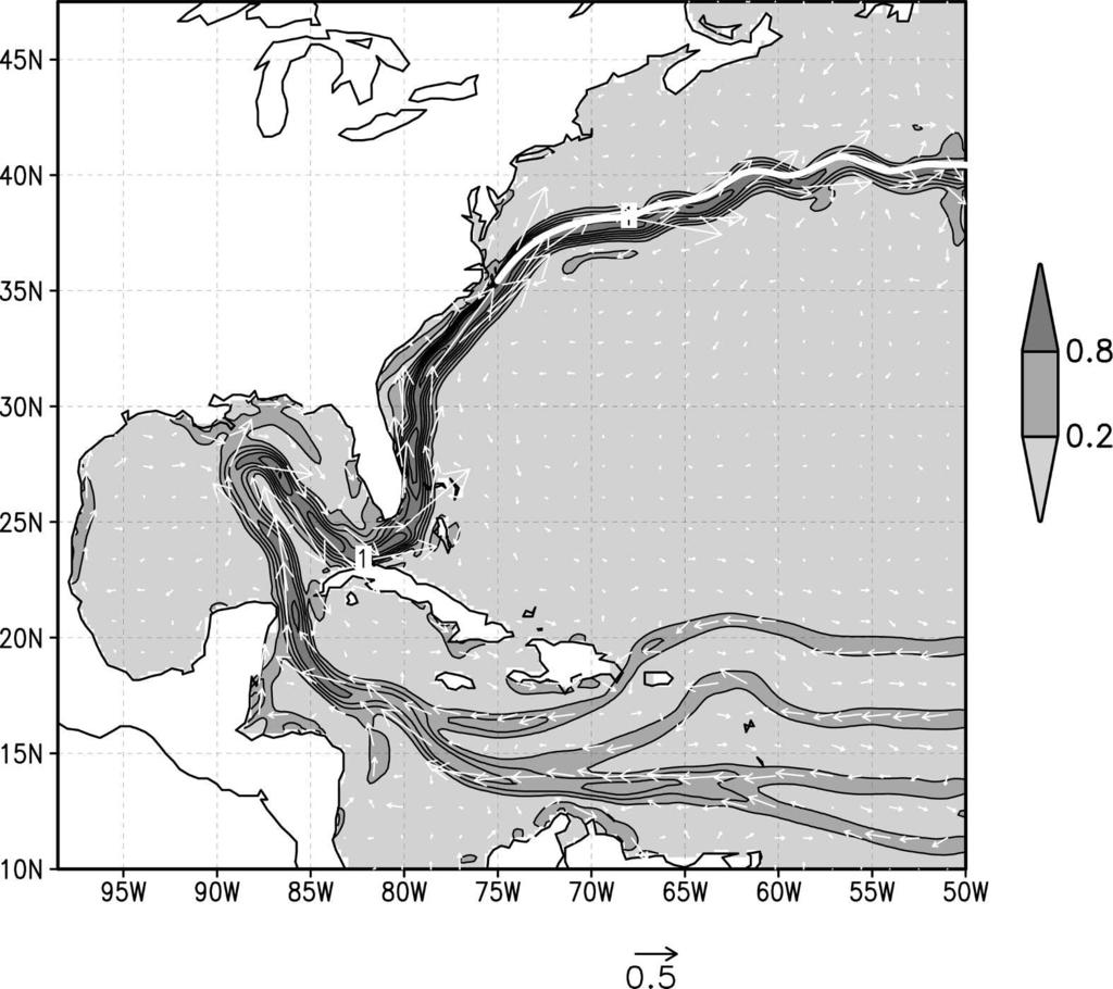 DECEMBER 2005 FALKOVICH ET AL. 1931 FIG. 15. Surface currents after a 5-day integration of the ocean model initialized using maximum LC penetration into the Gulf of Mexico with the MCS initialization.