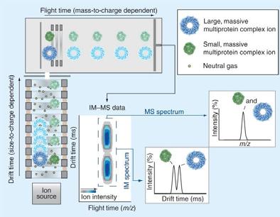 possible: separations, Hyphenated MS Techniques 30 Ion Mobility Spectrometry Mass Spectrometry