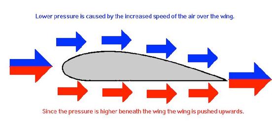 Lift and curve How do aeroplanes fly? Aeroplane wing: The distance travelled above the curved wing is larger than below it.