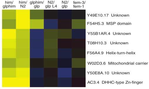 316 Development 131 (2) Identification of genes with sex-biased expression in somatic tissues We examined the gene sets that correspond to sex-biased, somatically expressed genes (sets IVa and IVb).