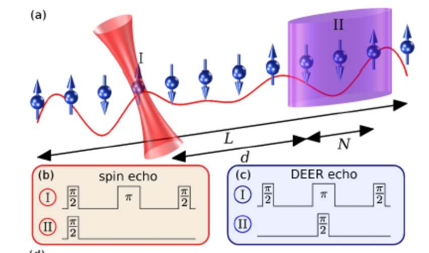 Double Electron Electron Resonance as a smoking gun probe of MBL Power law decay of DEER signal with time arxiv:1403.0693 M.