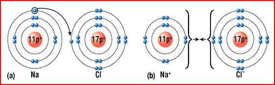 IONIC BONDING Ionic bonding occurs when a transfers one or more electrons to a in an effort to attain a stable of electrons. 1.