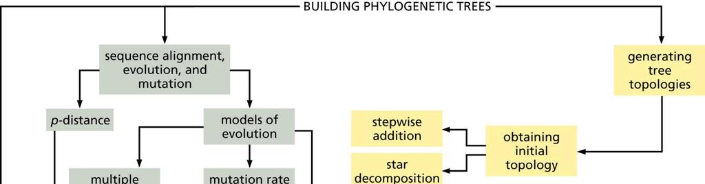 Phylogeny reconstruction Flow diagram