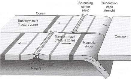 Pairs of transform faults bracket the segments of the spreading center. Earthquakes occur in the spreading center valleys. Magnetic stripes mark the age of the different parts of the crust.