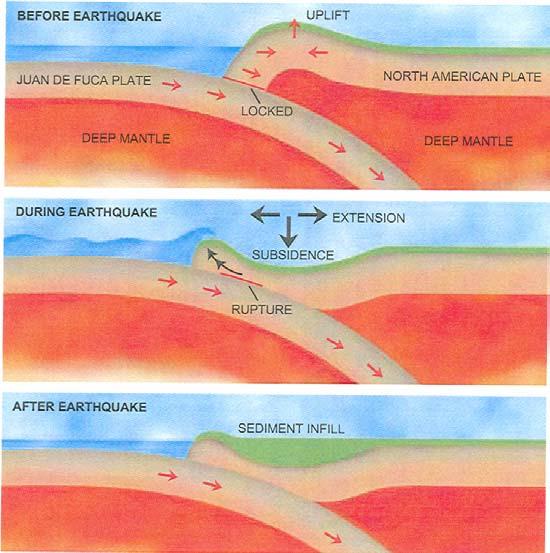 17 September 2007 Lecture 6 West Coast Earthquakes & Hot Spots 6 Figure 6.7 Earthquake Example Stress Relief! The series of events that lead to an earthquake in a subduction zone.