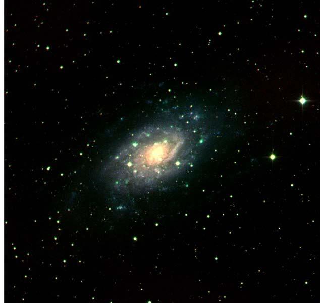 HI in NGC 2403 HI distribution starlight HI traces