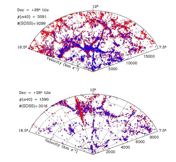 The ALFALFA population 6500 sqd of high galactic latitude sky; median cz ~8800 km/s Red: SDSS Blue: ALFALFA Inner 9000 km/s 18.