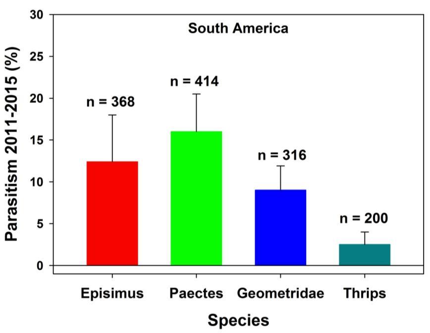 Parasitoids of Schinus herbivores in Brazil - Native range South American
