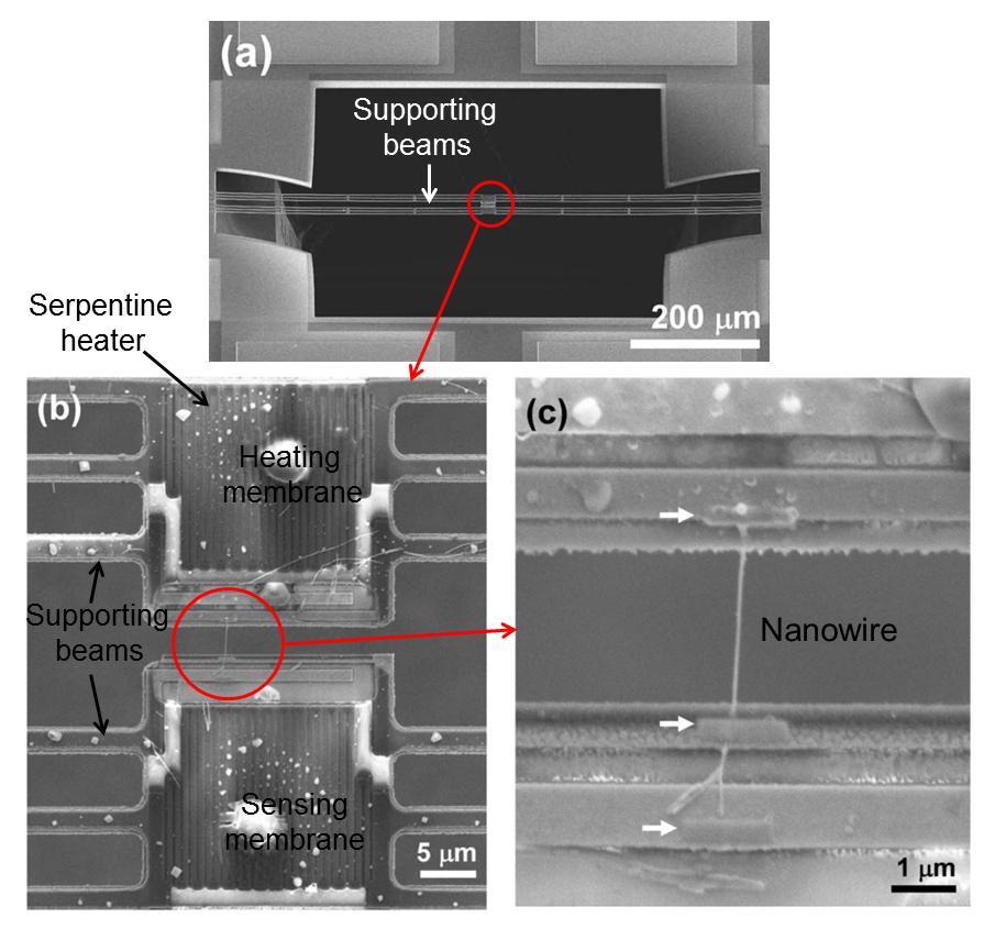 3. (Thermal measurement of individual nanowire) The device used for individual nanowire measurements consists of two adjacent thermally isolated membranes that are supported by long narrow beams as