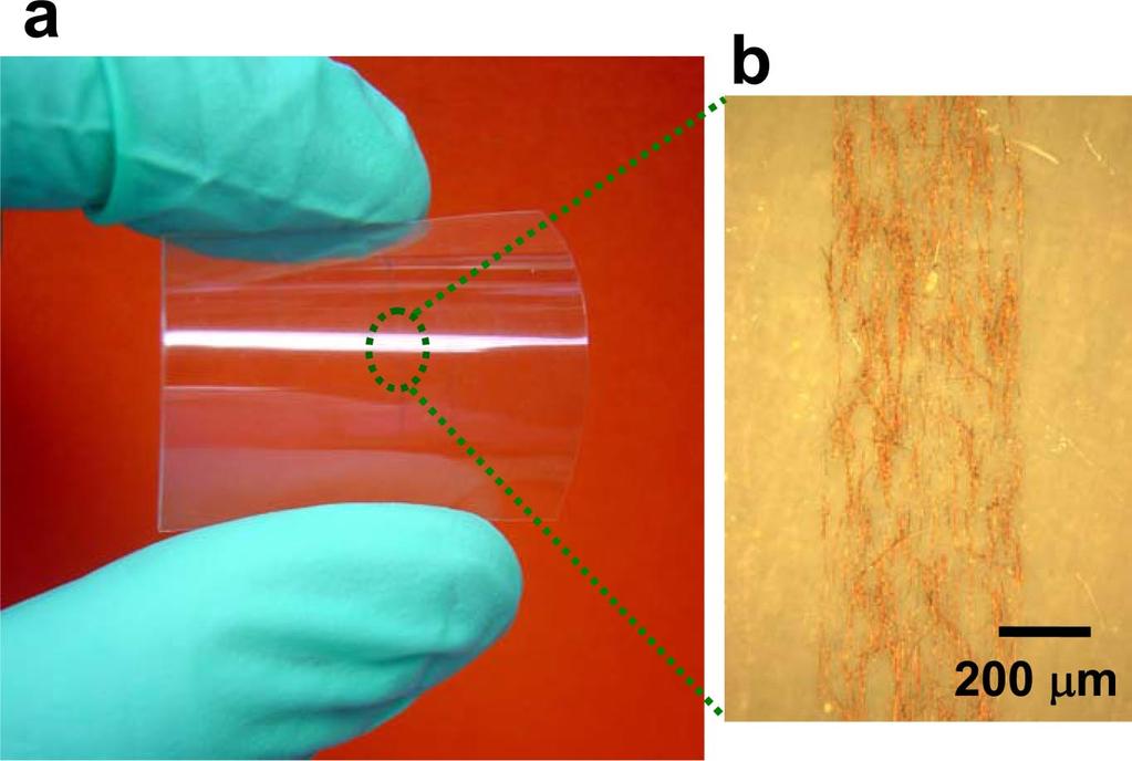 Fig. S7. Transfer of organic MW patterns onto a flexible plastic substrate.