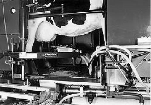 Milking robot 11/47