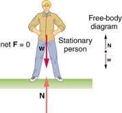 The unit of force is the Newton (N) which is the amount of force required to accelerate 1 kg of mass at 1m/s squared.