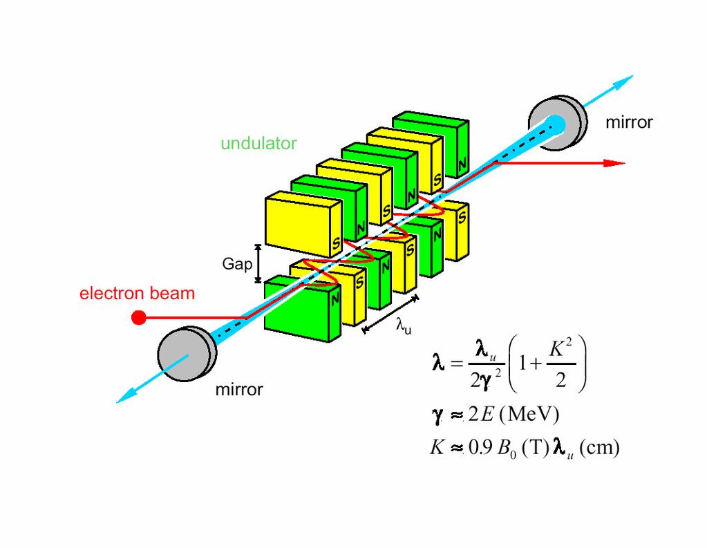Oscillator-type Free Electron Laser V,
