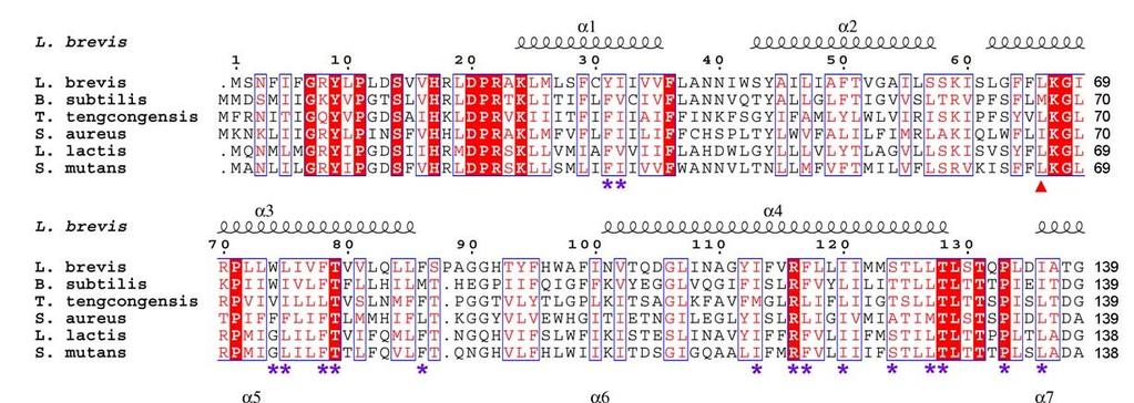 Supplementary Figure 5 Sequence alignment of EcfT and its functional homologues from six representative bacterial species. The secondary structural elements are shown above the sequences.