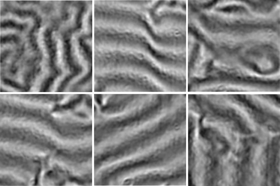 Images for fairly small at various. From left to right and then top to bottom, the (, ) values are 9,0.052, 22,0.016, 30,0.039, 39,0.041, 48,0.038, 52,0.052, 67,0.041, 96,0.055, and 120,0.02.