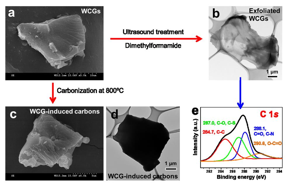 Figure S1. (a) FE-SEM image of the WCGs. (b) FE-TEM image of exfoliated WCGs. (c) FE- SEM image and (d) FE-TEM image of WCG-induced carbons. (e) XPS C 1s spectra of exfoliated WCGs.