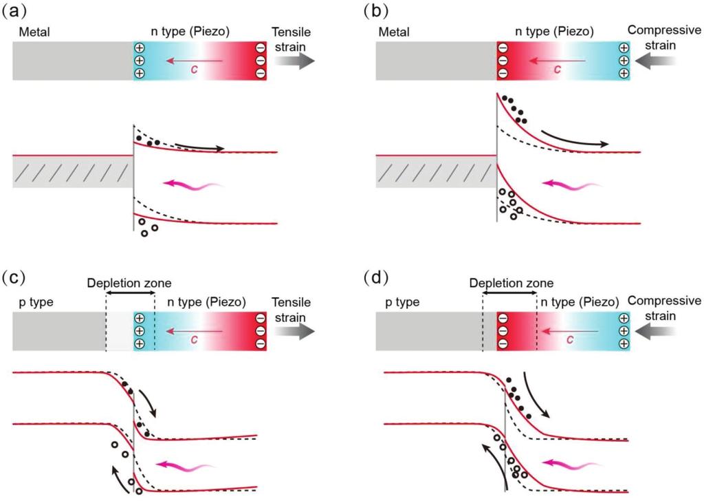 Figure 3. Schematic illustrations of energy band diagrams for the piezo-phototronic effect tuned M S and p n junction contacts.