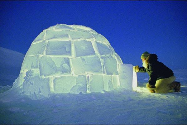 A tourist made a statement that that this will cause the compacted snow walls of the igloo to melt and hence not be effective to keep the residents warm.