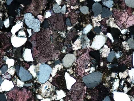 Calcite: Grains Bioclasts/Peloids Post depositional Cement