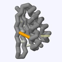 Adding and Removing Individual Struts Like hydrogen bonds and disulfide bonds, the strut commands will only effect areas of the molecular structure that are selected.