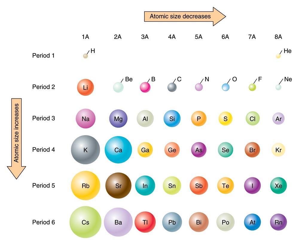 Relative Atomic Sizes Note the Periodic Table can
