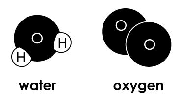 Answers Check your knowledge 1. a 2. a b fluorine c chlorine b Water contains hydrogen and oxygen; therefore it is a compound.
