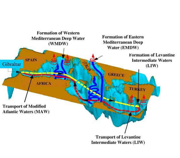Figure 1. [2000]). Scheme of the basin-scale circulation in the Mediterranean Sea (after Pinardi and Massetti Gibraltar and 38 38.