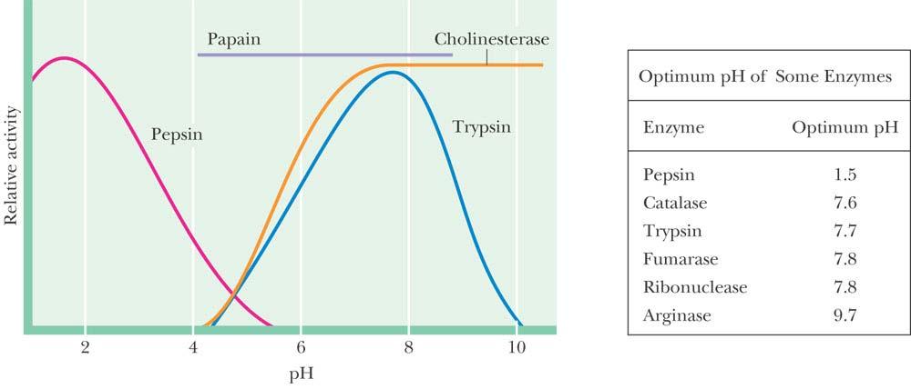 ph dependence The ph activity profiles of four different enzymes.