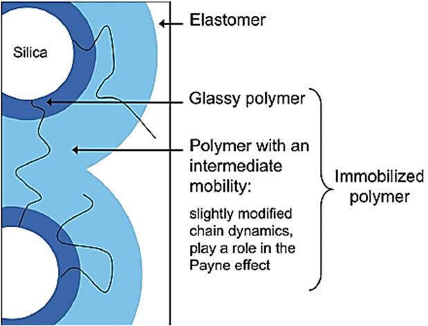Figure 4 The three-layer model proposed by Papon et al. 24 that includes a glassy layer, an intermediate mobility layer, and a bulk layer with high mobility.