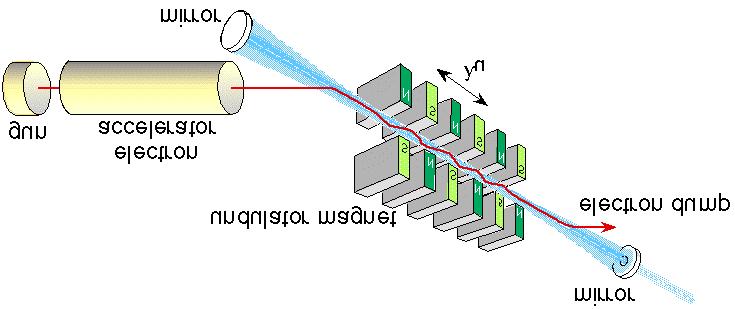 Spontaneous Emission and Gain Curve Free Electron Laser (FEL) Principle Oscillator