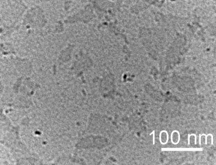 Figure S3 TEM image of unilamellar Ni 2/3 Fe 1/3 LDH nanosheets.