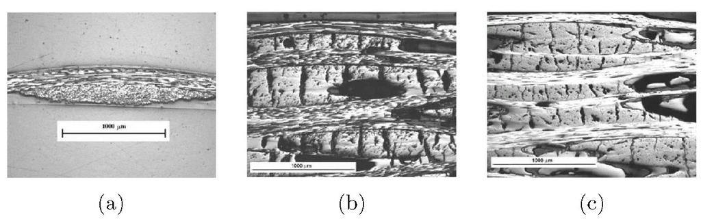 High Performance Structures and Materials V 5 Figure 1: Examples of scanned microstructures; (a) woven fabric, (b) carbonized composite, (c) graphitized composite.
