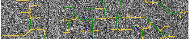 detect roads in a tropical forest setting from RADARSAT images.