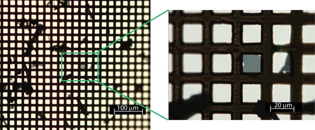 1. SAMPLE PREPARATION METHODS Fig. S1. Optical image of a 45 nm thick exfoliated single-crystal 1T-TaS 2 sample supported on a standard 1000-mesh gold TEM grid.
