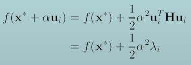 H is a symmetric matrix, and so has orthogonal eigenvectors As α increases, f(x* + αu i )
