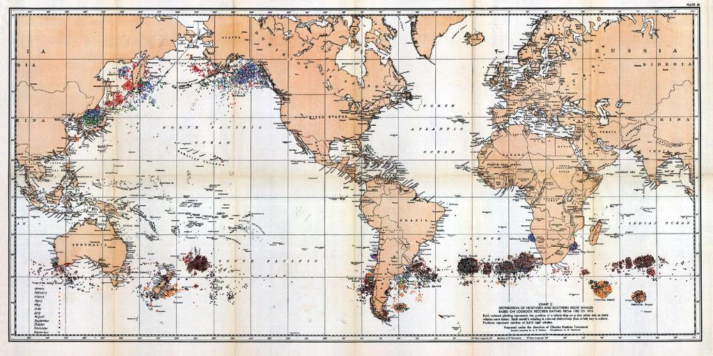 Distribution of Right Whale catches from 1751-1920