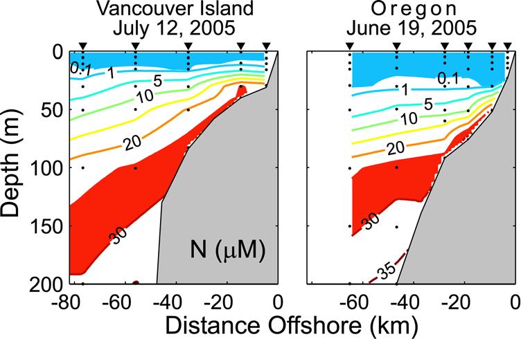 near the shelf break (Figure 4). Warmer, saltier water near the shelf break ( spicier water) is consistent with conditions frequently observed during El Niño [Huyer et al., 2002].