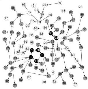 8 Wim Hordijk Fig. 4 One of the reaction networks, represented as a catalysis graph, during the evolution in the Jain & Krishna model. Reprinted from Jain and Krishna (2002).
