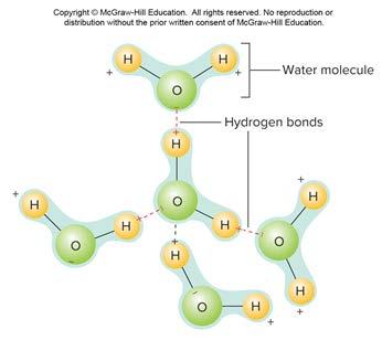 Types of Chemical Bonds: Hydrogen 1. Covalent bonds 2.