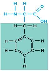Amino Acid: Cysteine Structural
