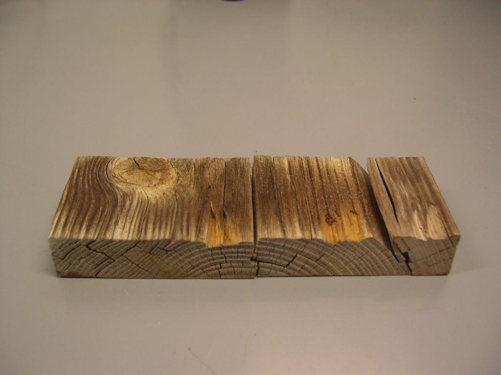 The wood samples were tilted a bit from the horizontal (8 ± 2 ) in order to let the water run oﬀ the surface.