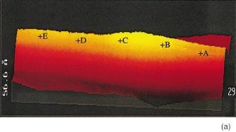 STRAIN-INDUCED ELECTRONIC PROPERTY... PHYSICAL REVIEW B 64 035419 FIG. 2. Color a 3D image of tube T2 showing the deformation in the grain boundary. A height difference of 0.