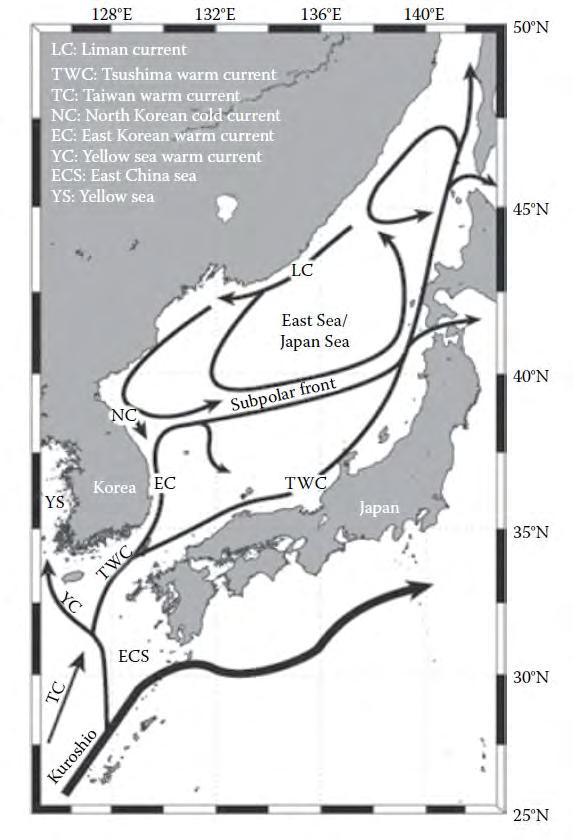 East Asian Marginal Sea (EAMS) - South Korean marginal sea East/Japan Sea, East China Sea and Yellow Sea are three contiguous seas comprise the East Asian Marginal Sea (EAMS) They are subject to