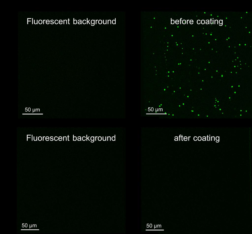 Supplementary Figure 3: The comparison of bare and Tween 20 coated cover glass surface in 1M KCl solution of ph 9 by fluorescent images. a). Fluorescent background before coating; b).