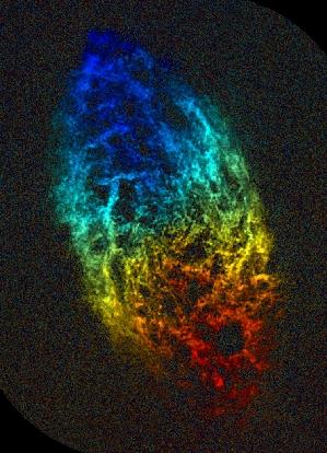 Gas in other galaxies Hydrogen in M33 (Triangulum or